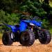 Nova campanha Yamaha YFZ50 e YFM90R