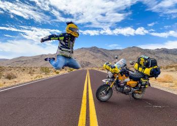 Ride That Monkey: André Sousa regressa a casa