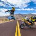 Ride That Monkey: André Sousa regressa a casa