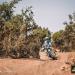 Mário Patrão vence Malle-Moto no Maroc Desert Challenge