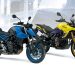 Suzuki GSX-8S e V-Strom 800DE premiadas