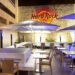 FIM e Hard Rock Cafe Mallorca unem-se para festa de abertura dos prémios FIM 2024