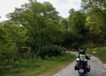 Motociclistas recuperam floresta autóctone em Vila Pouca de Aguiar