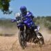 António Maio vence classe Trail no Raid Ferraria