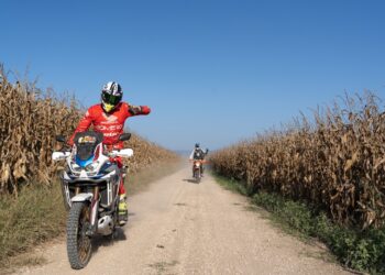 Campanha Reflorestar Portugal de Lés-a-Lés vai plantar árvores autóctones