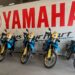 Yamaha Ténéré 700 Rally ao serviço da segurança no Lés-a-Lés Offroad