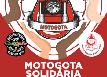 Dávida de Sangue Lobos da Neve